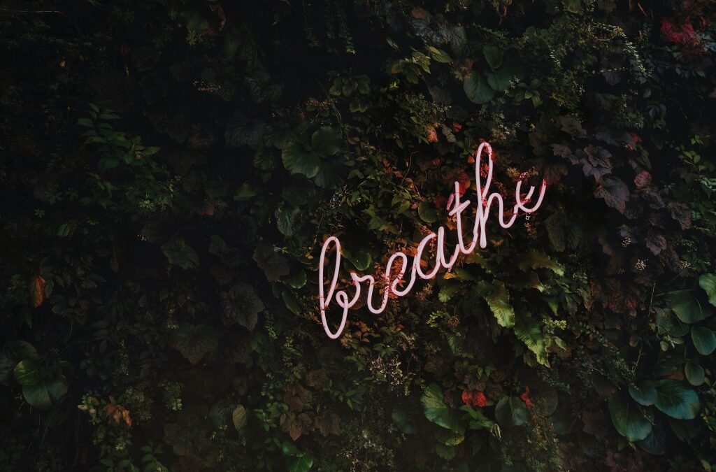 Things to help combat stress/anxiety in the run up to exam time